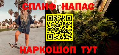 дмт Ярославль