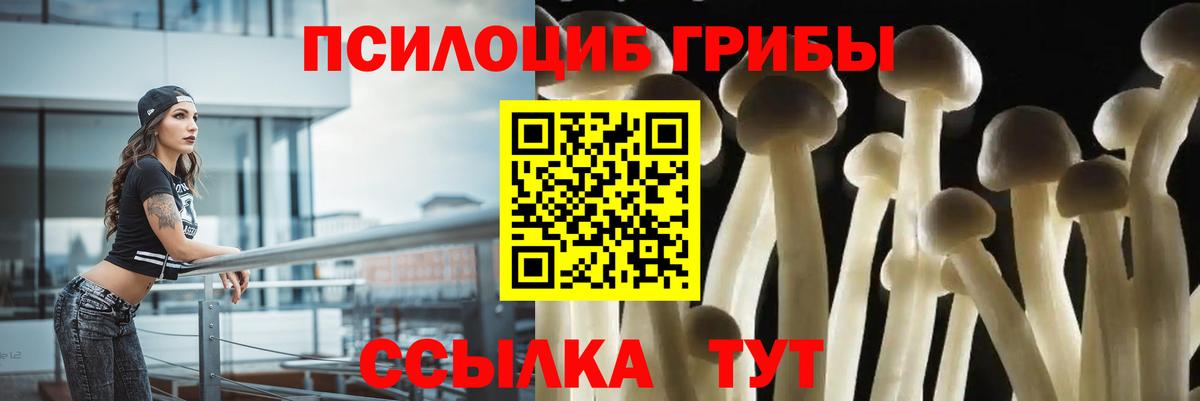 Галлюциногенные грибы Psilocybine cubensis Электросталь